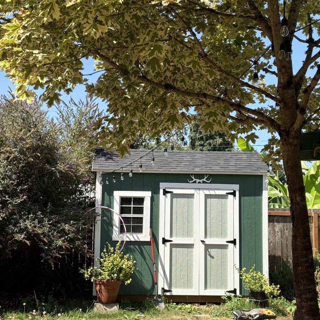 A newer little shed / writing hideaway behind The Farmhouse.